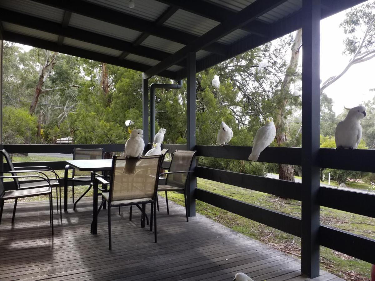 Cockatoo Cabin ホールズギャップ エクステリア 写真